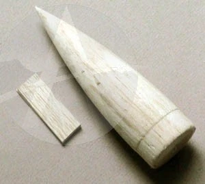 Kraken 9 Kraken - Image 7