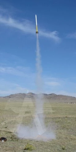 HammerHead -Toy Shop f1c8e393926d2858b85a36fc9bed196d.image .320x638